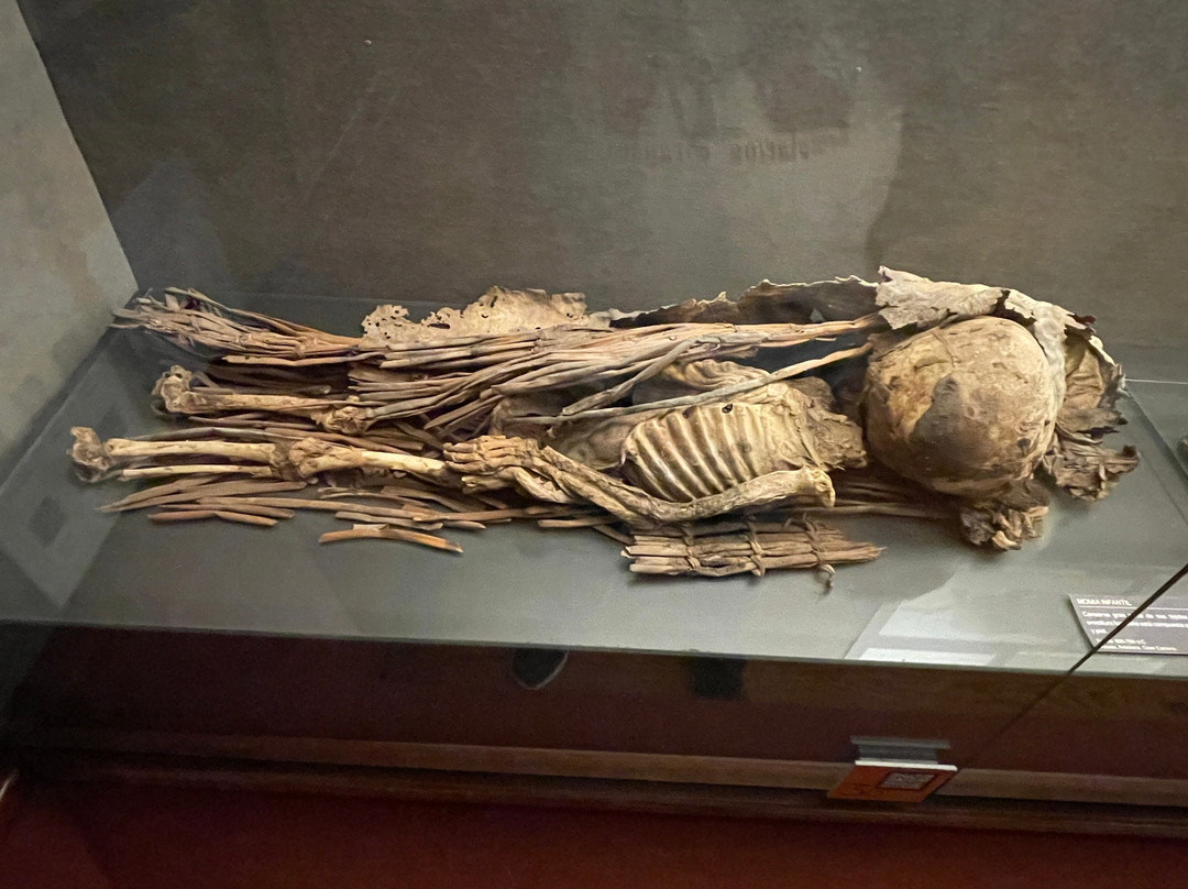 El Museo Canario-大加那利岛拉斯帕尔马斯必去景点