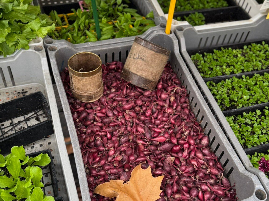 Marché Dominical d'Amboise-昂布瓦斯必去景点