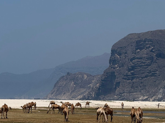 Visit Dhofar Seasons-塞拉莱必去景点