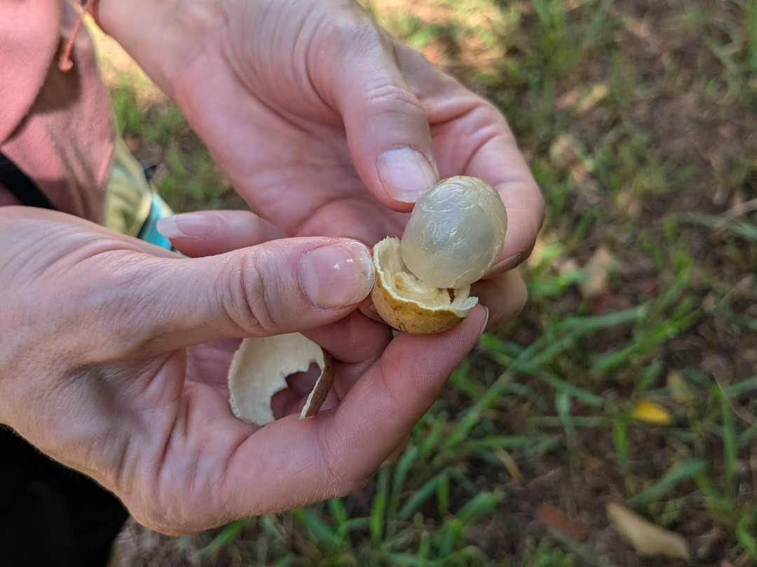 Garden Island Chocolate-基拉韦厄必去景点