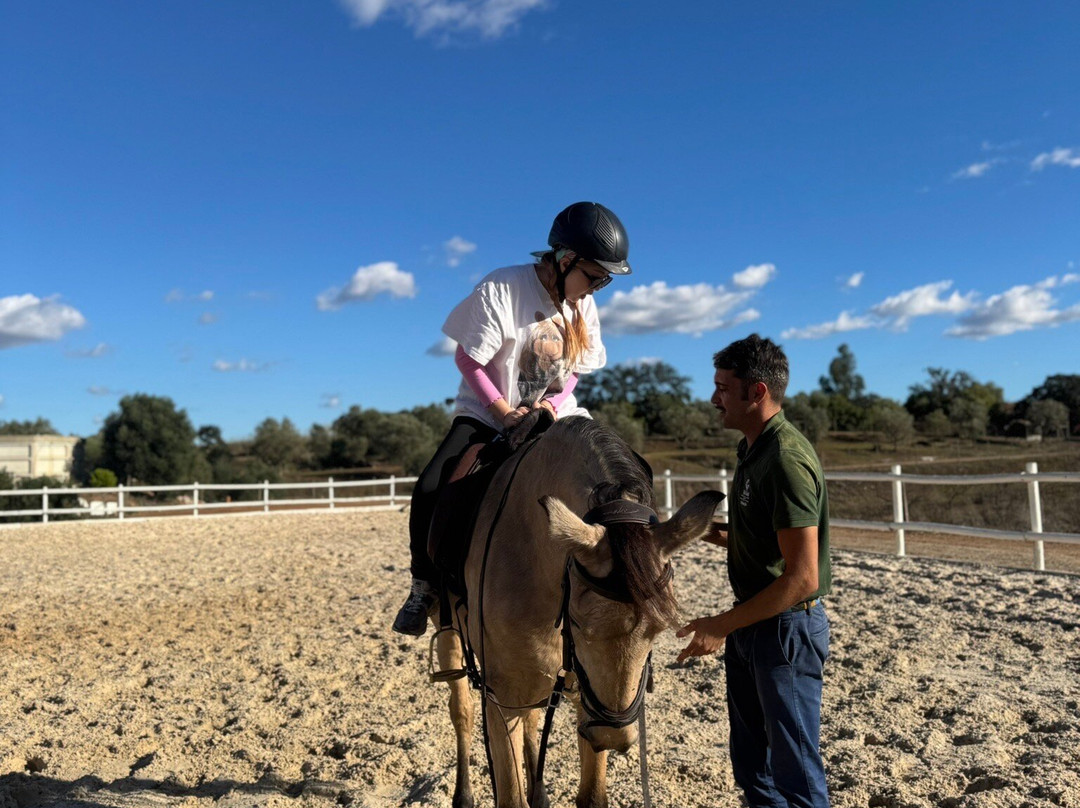 Vila Galé Alentejo Vineyards主图