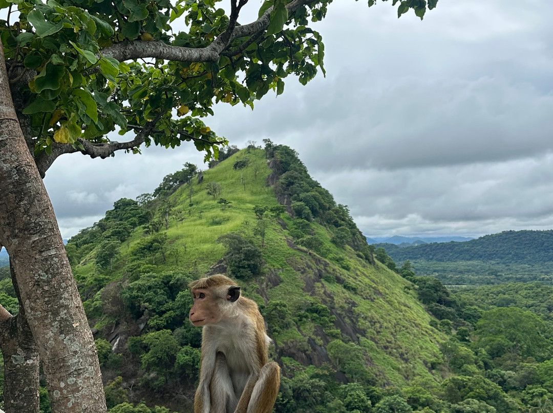 Amazing Travels & Tours Sri Lanka-科奇克德必去景点