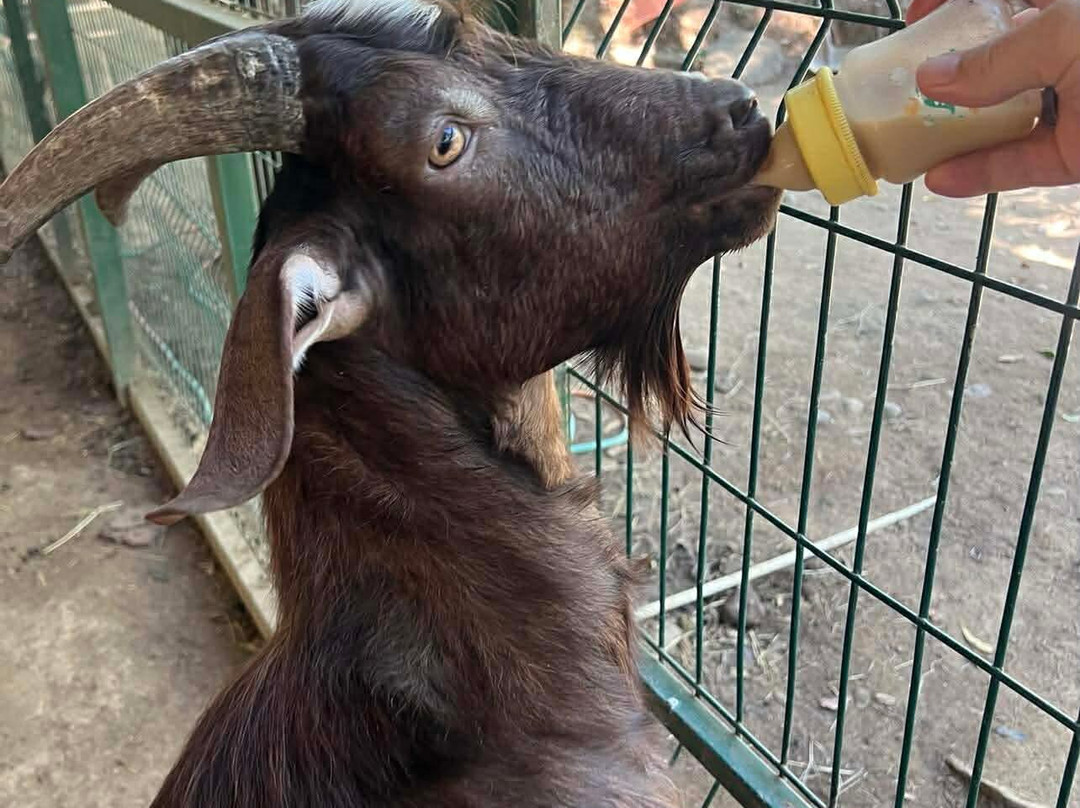 The Monkey Farm-Playa Ocotal必去景点