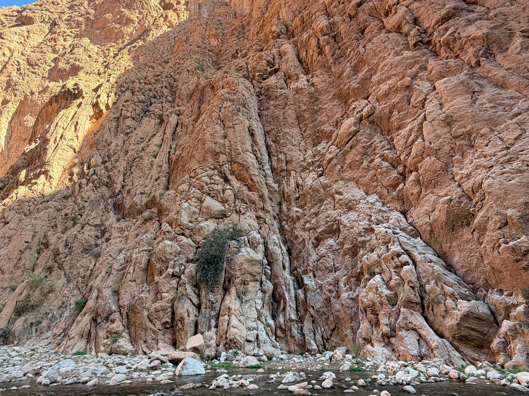 Morocco Easy Tours - Morocco Tours-马拉喀什必去景点