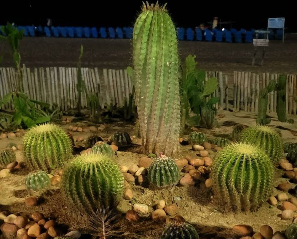 Golden Beach Puri-普里必去景点