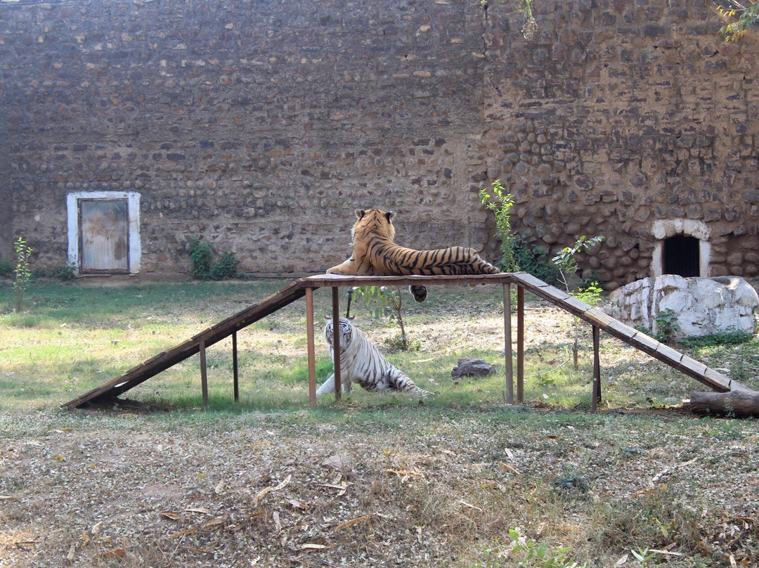 Gandhi Prani Udhyan-瓜廖尔必去景点