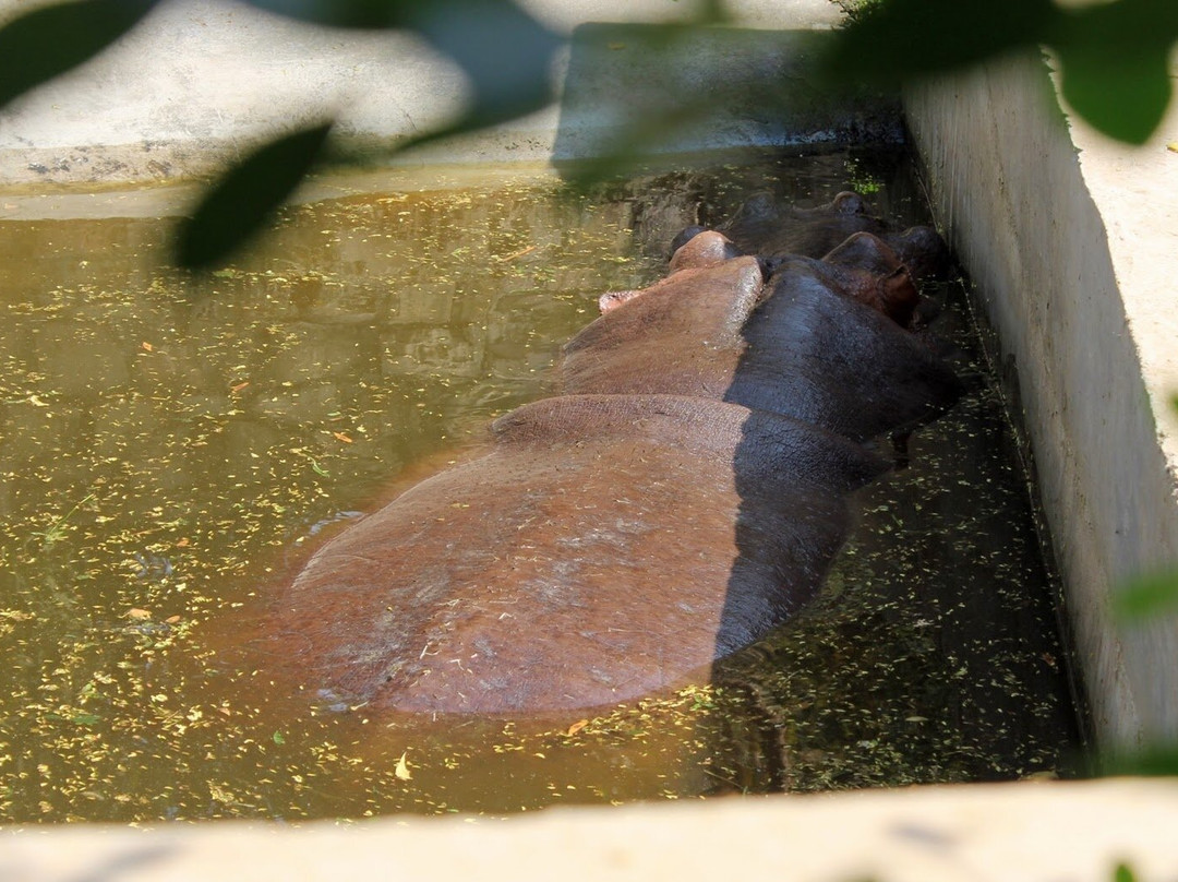 Gandhi Prani Udhyan-瓜廖尔必去景点