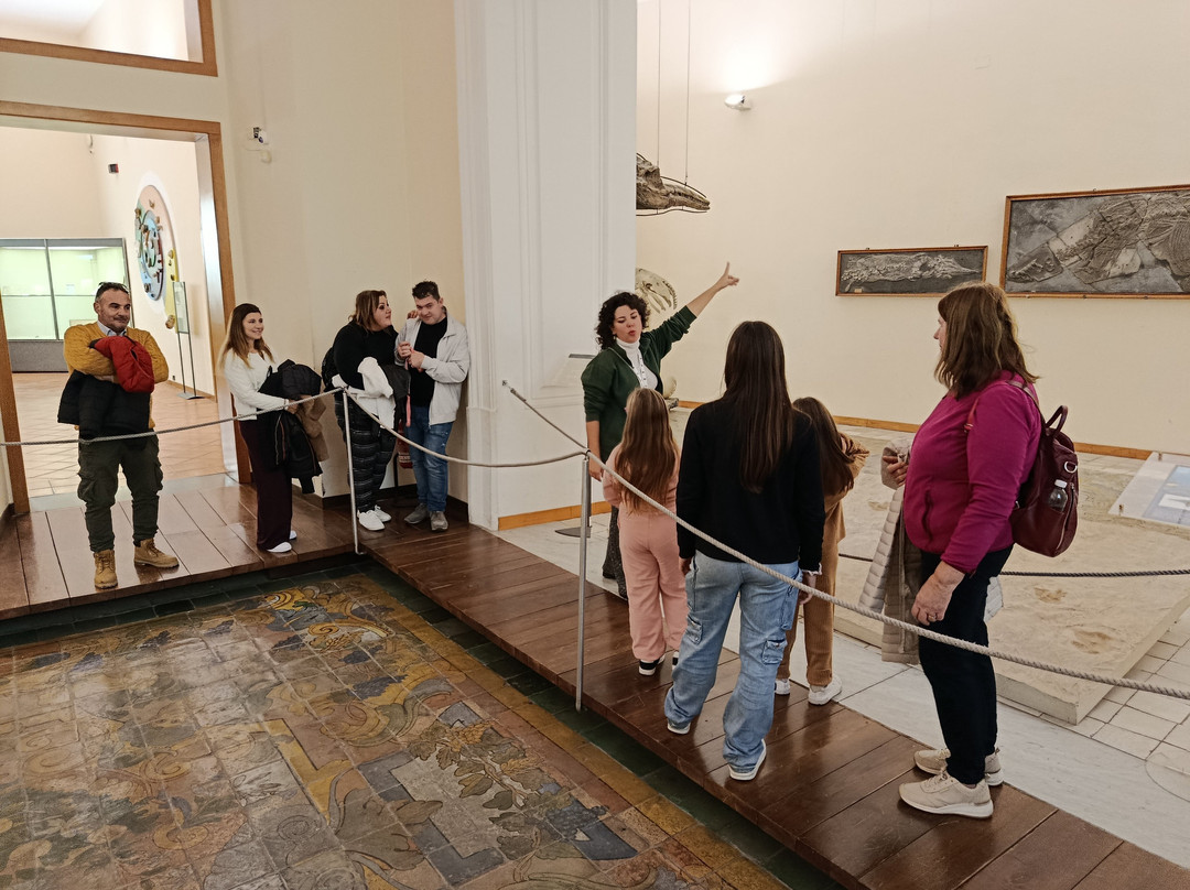 MUSA - Museo Universitario delle Scienze e delle Arti-那不勒斯必去景点