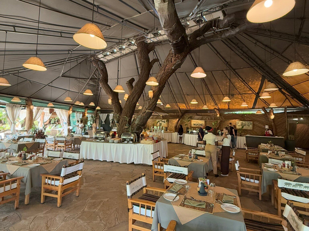 Agenzia Safari Vera Africa-东察沃国家公园必去景点