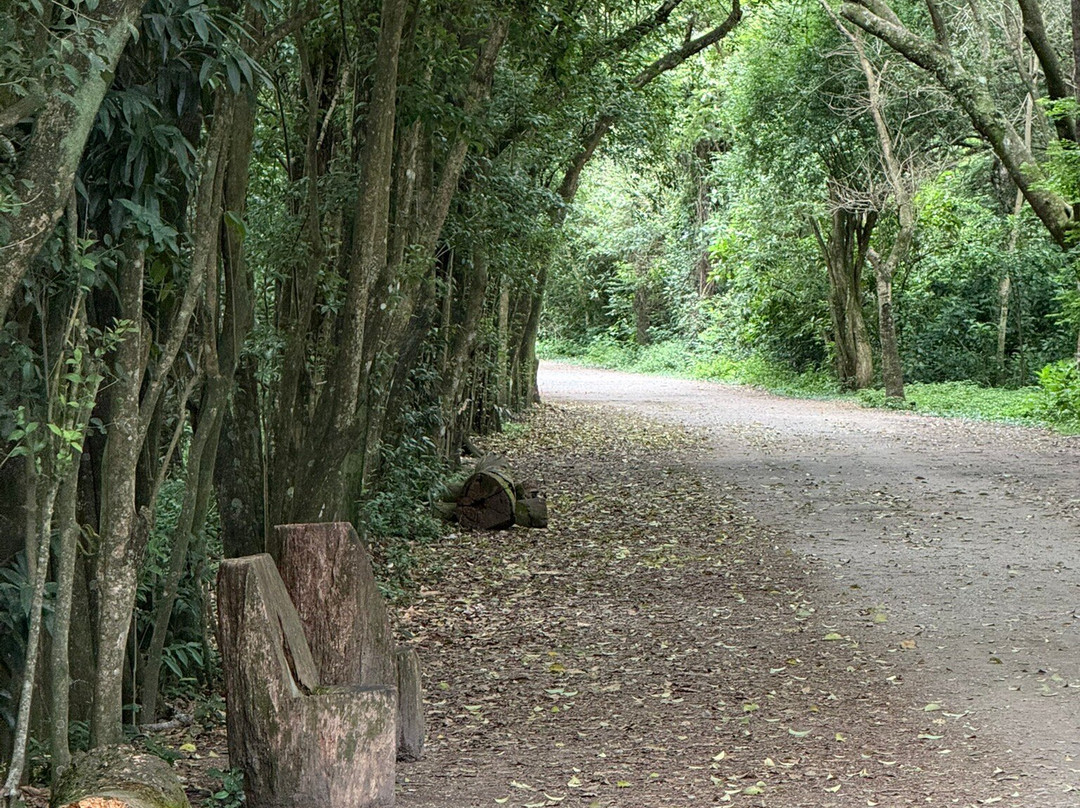 Parque Ecologico do Tiete-圣保罗必去景点