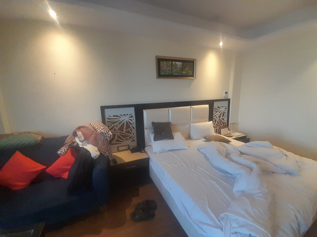 Snow Valley Resorts Dalhousie主图