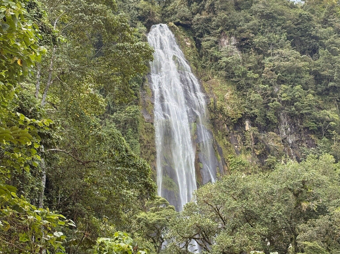 Jungle ATV Quad Tours-乌维塔必去景点