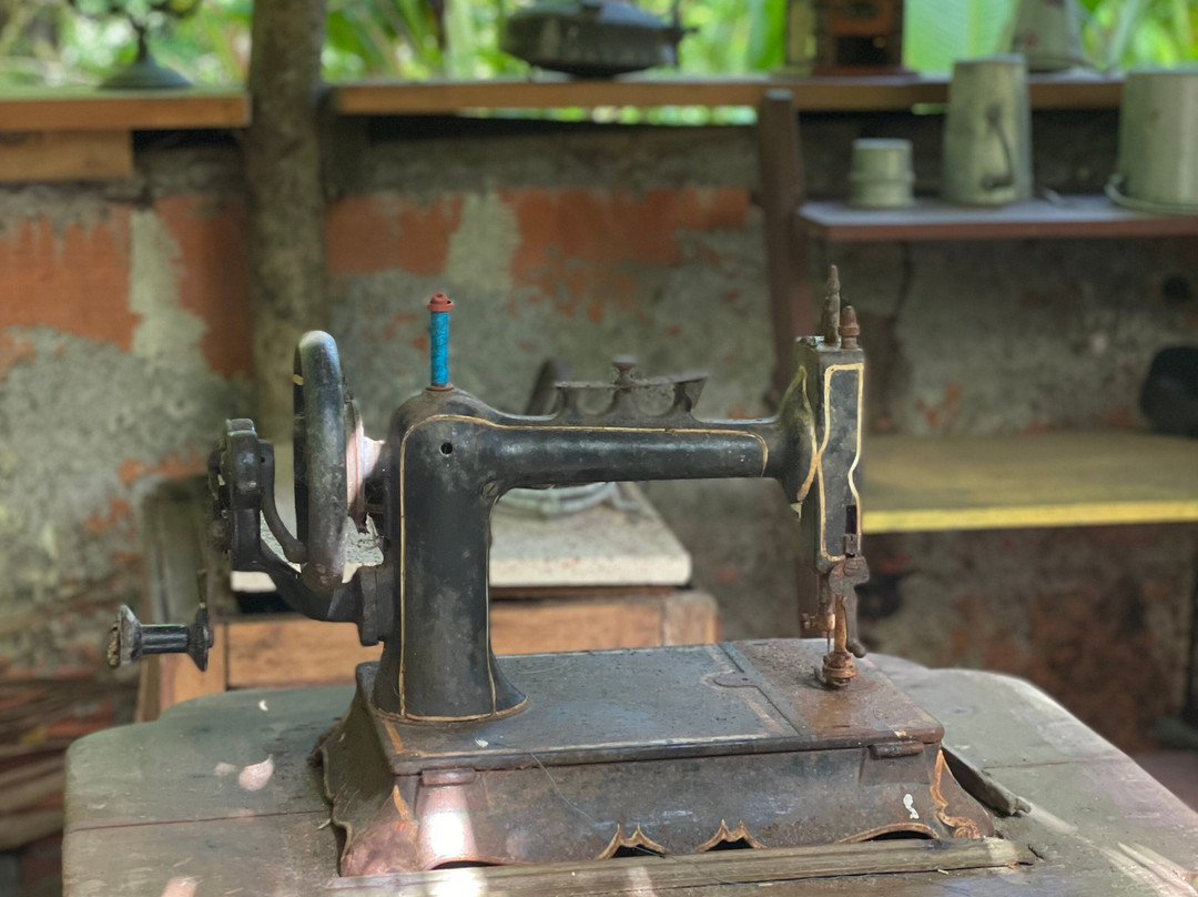 Ecotours Jardin Creole-Le Marin必去景点