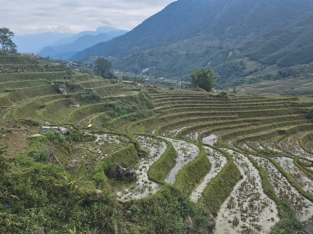 Andy Tourist-河内必去景点