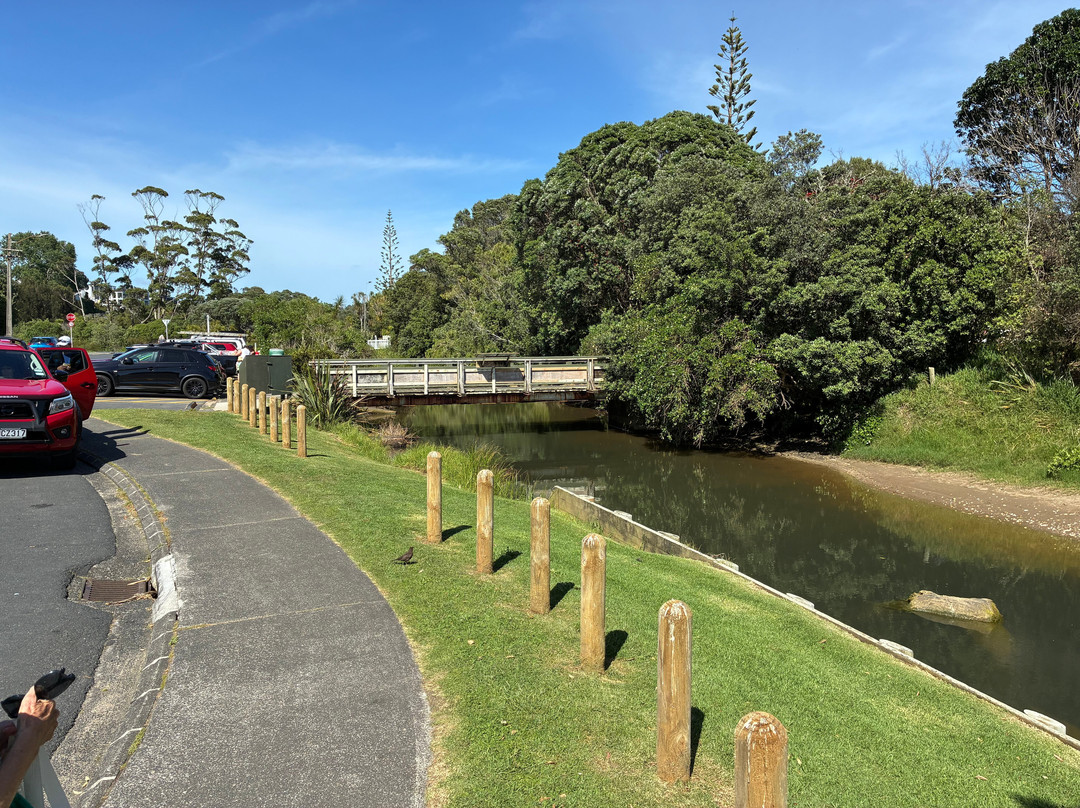 Long Bay Beach-Long Bay必去景点