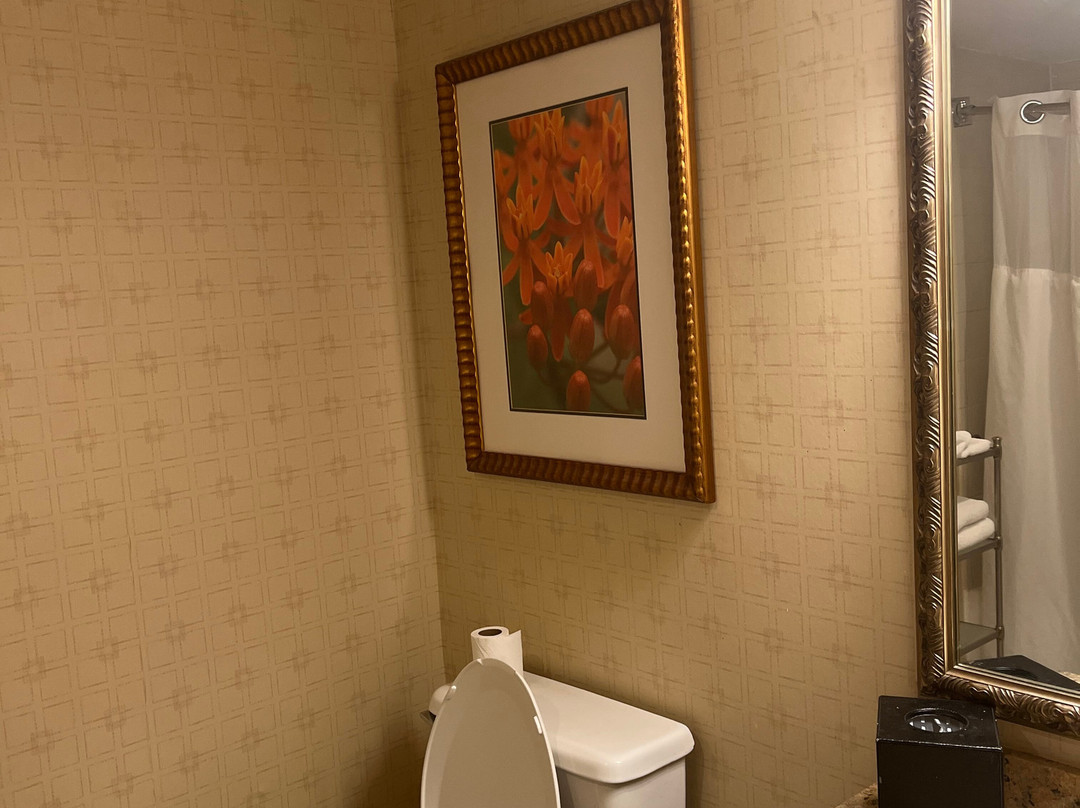 帕西波尼大使套房酒店主图