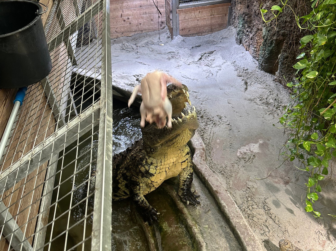 Krokodille Zoo-Eskilstrup必去景点