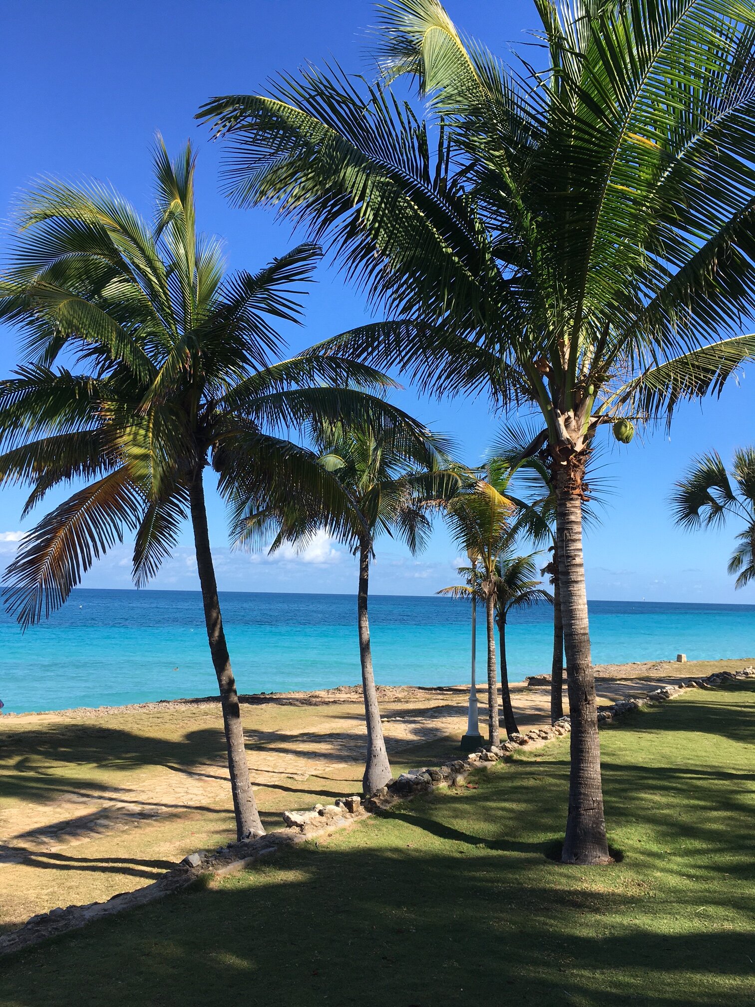 棕榈索尔酒店-泳池