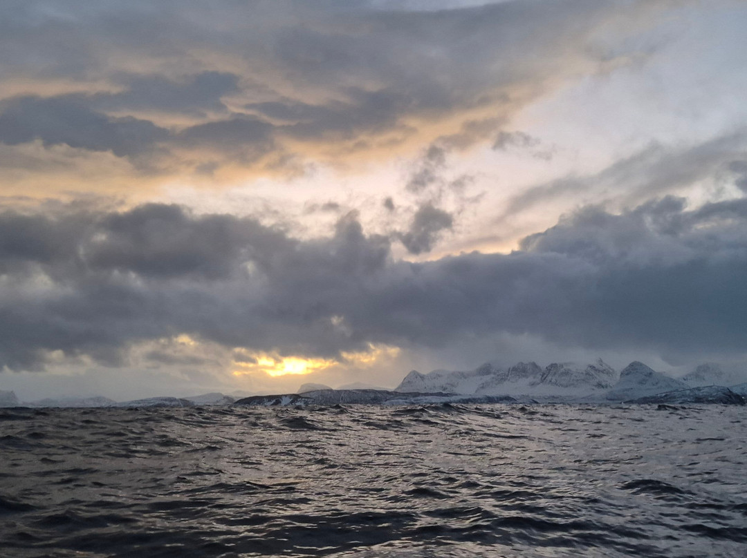 Dervola Adventure-Skjervoy必去景点