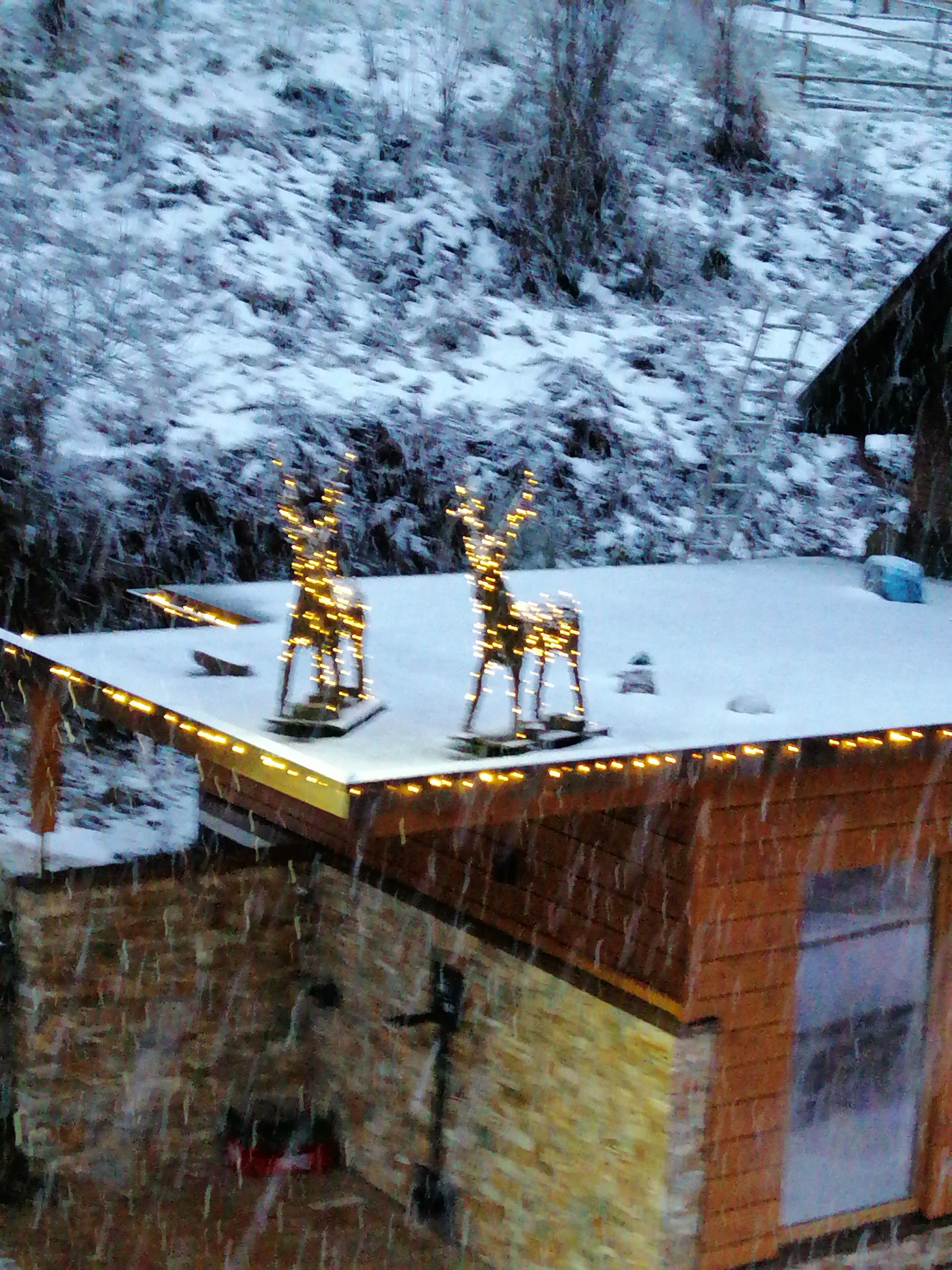 Forsthaus Auerhahn-官方