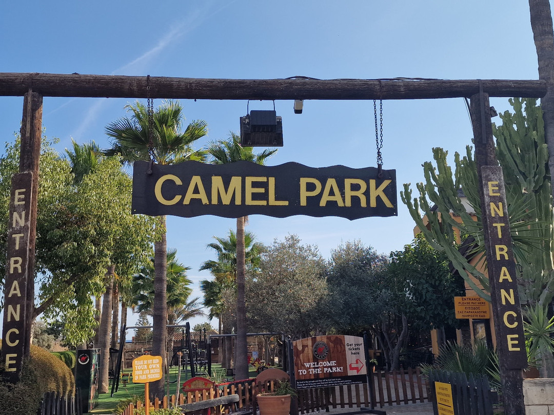 Camel Park-玛佐托斯必去景点