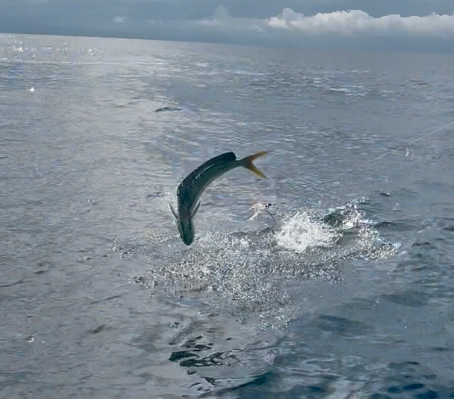 Chiri's Fishing Tours Esterillos Oeste-Esterillos Oeste必去景点