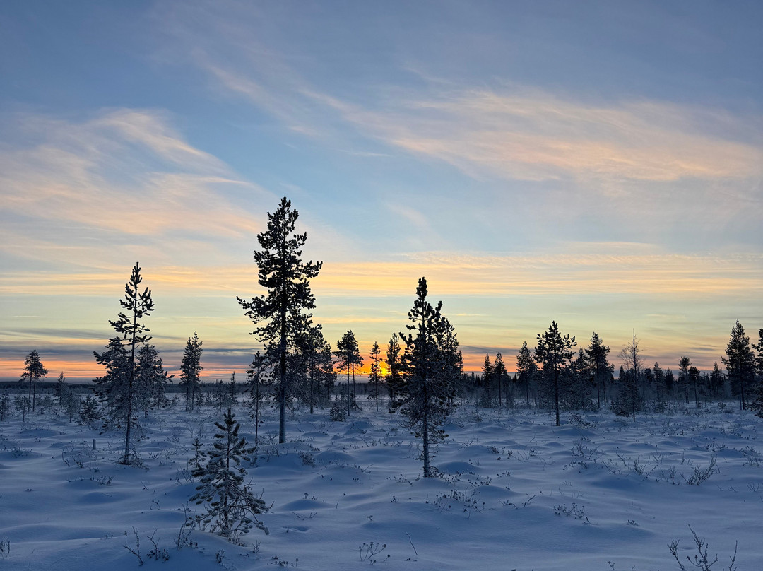 征服北极之旅-罗瓦涅米必去景点