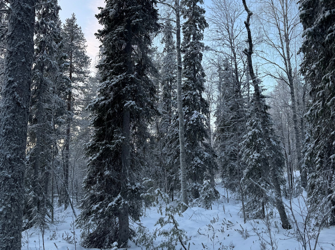 征服北极之旅-罗瓦涅米必去景点