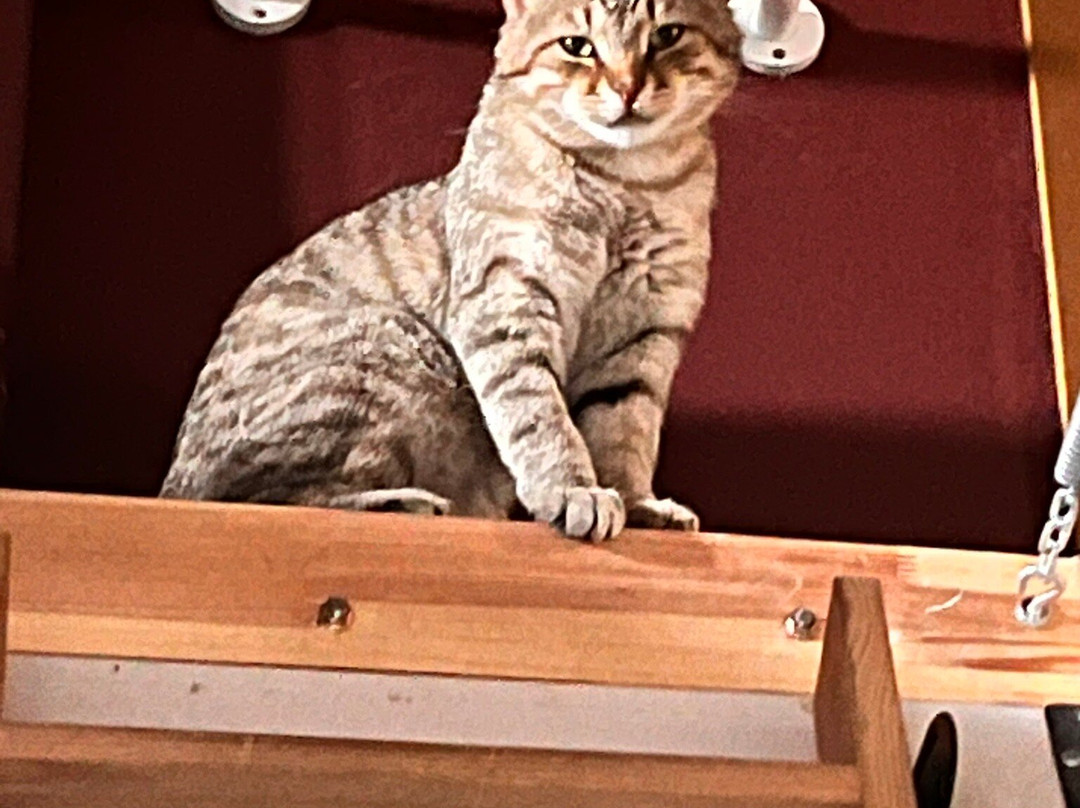 Sarıgerme Beach-穆拉必去景点