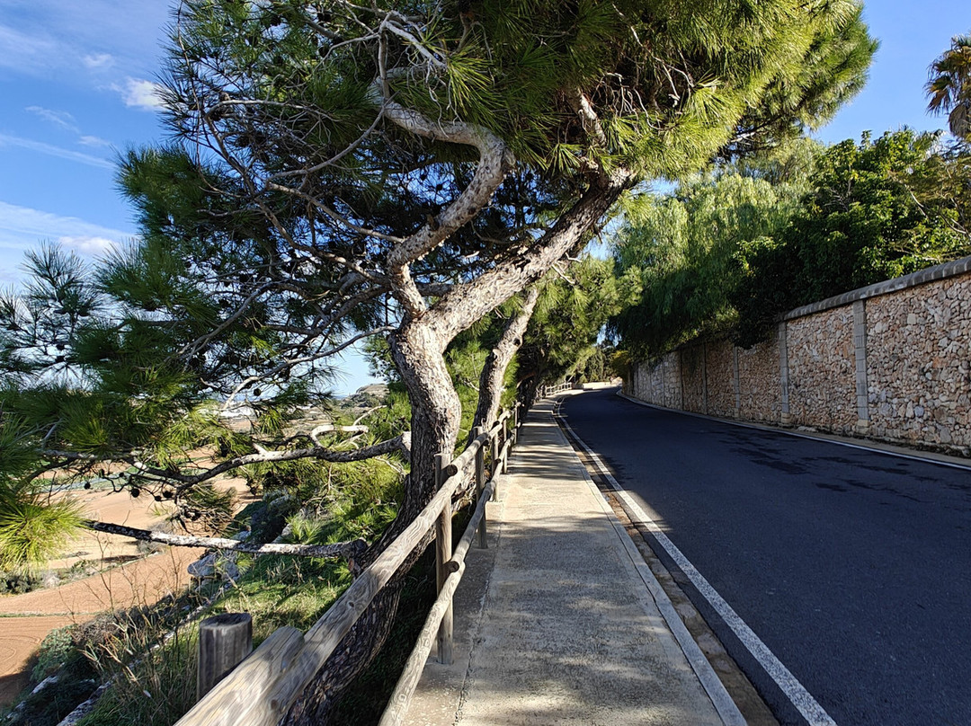 Victoria Lines-Madliena必去景点