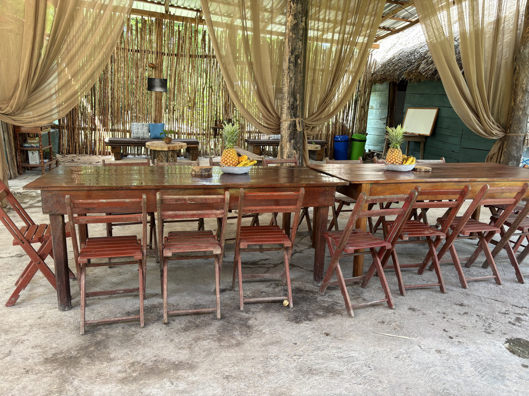 K'u' Áayin - Nido de Cocodrilos-Chunhuhub必去景点