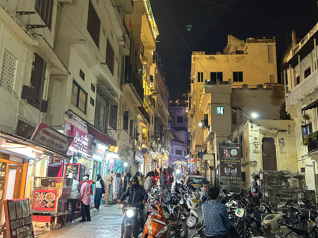 Atul Godha (Tour Guide of India)-乌代布尔必去景点