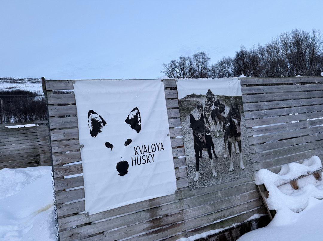 Kvaløya Husky-特罗姆瑟必去景点