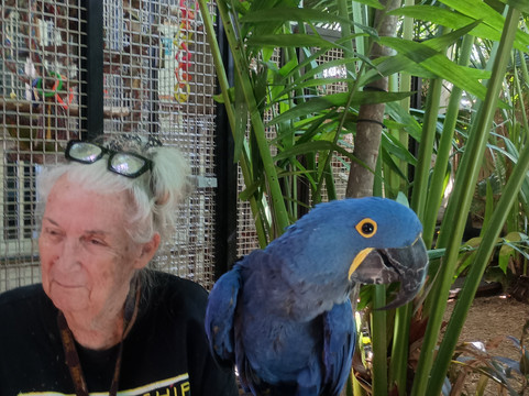 Nancy Forrester's Secret Garden-基韦斯特必去景点