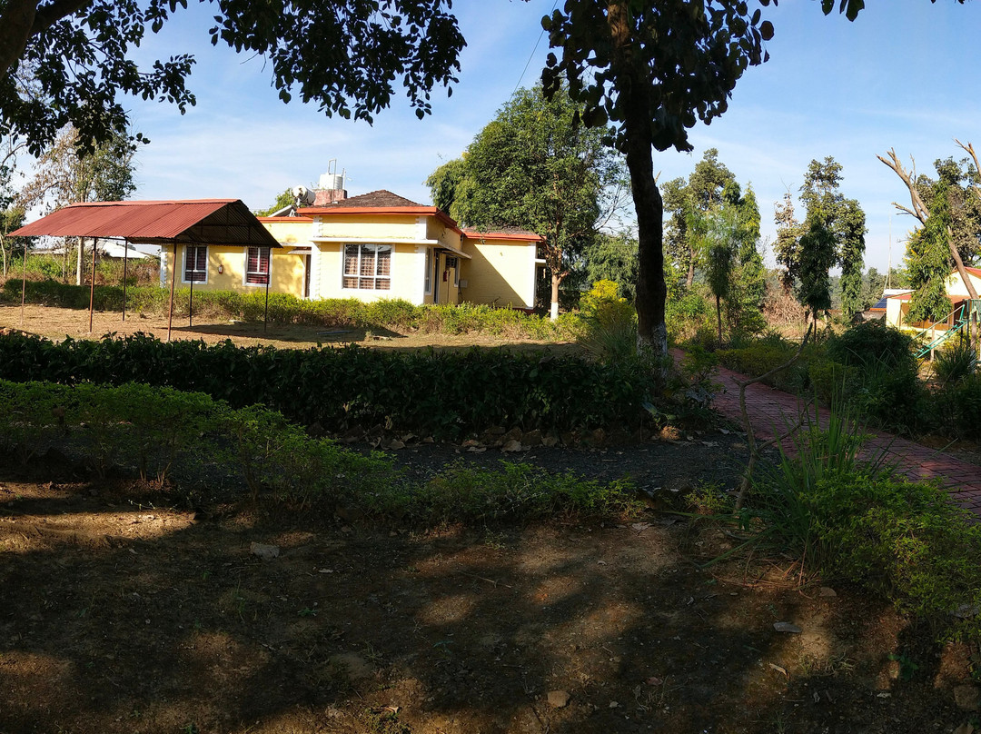 Tribal Woods Kanha主图