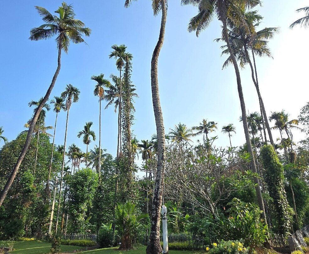 Mundackal Plantation Home Stay主图