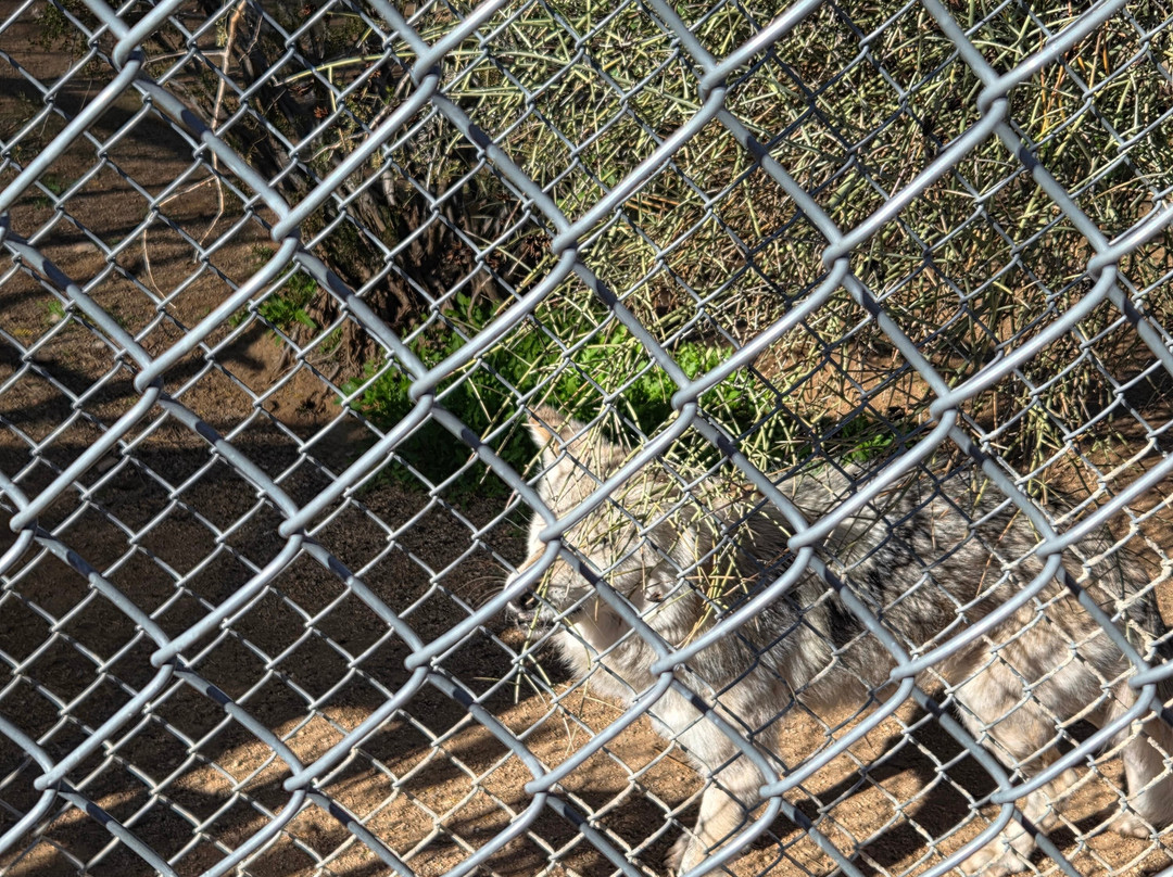 Southwest Wildlife Conservation Center-斯科茨代尔必去景点