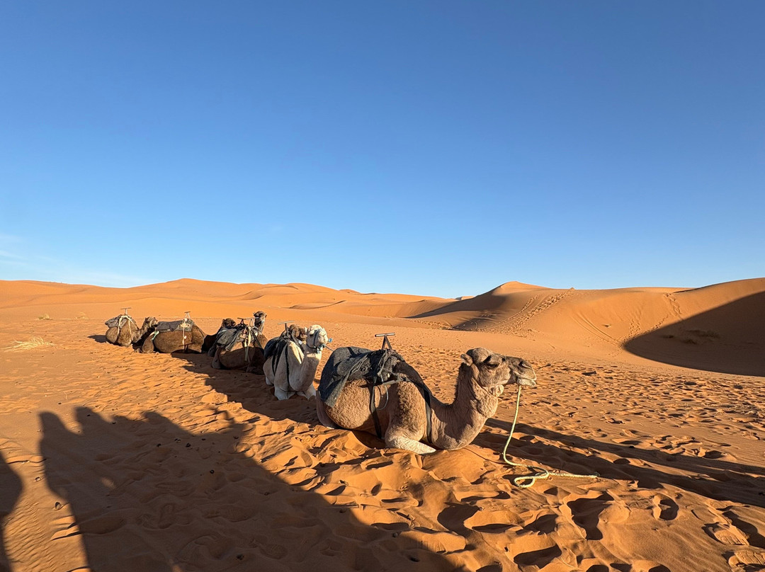 1001 Tours Morocco-塔拉戈纳必去景点