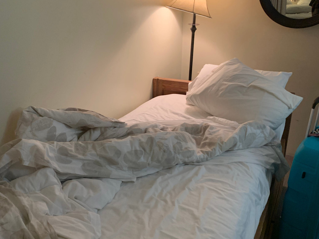 Black Bear Lodge主图