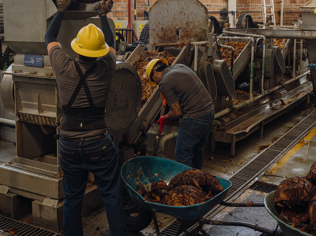 Tequila Arette-特基拉必去景点