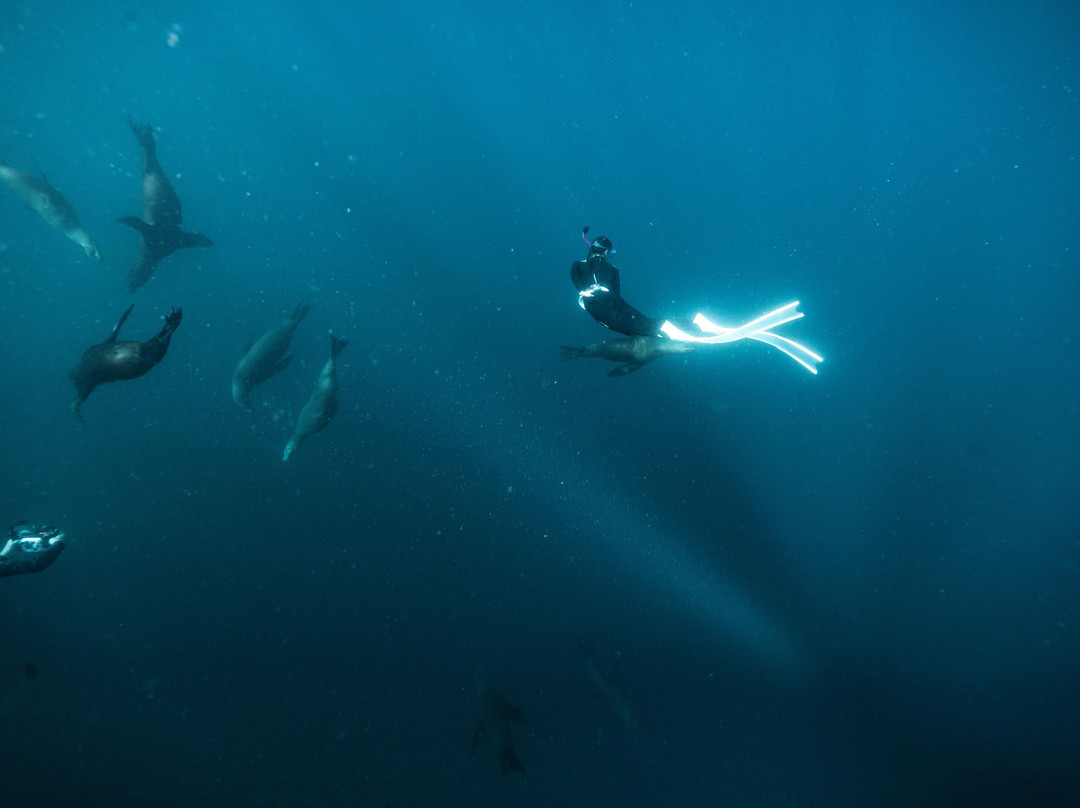 Tanner Underwater-朱庇特必去景点