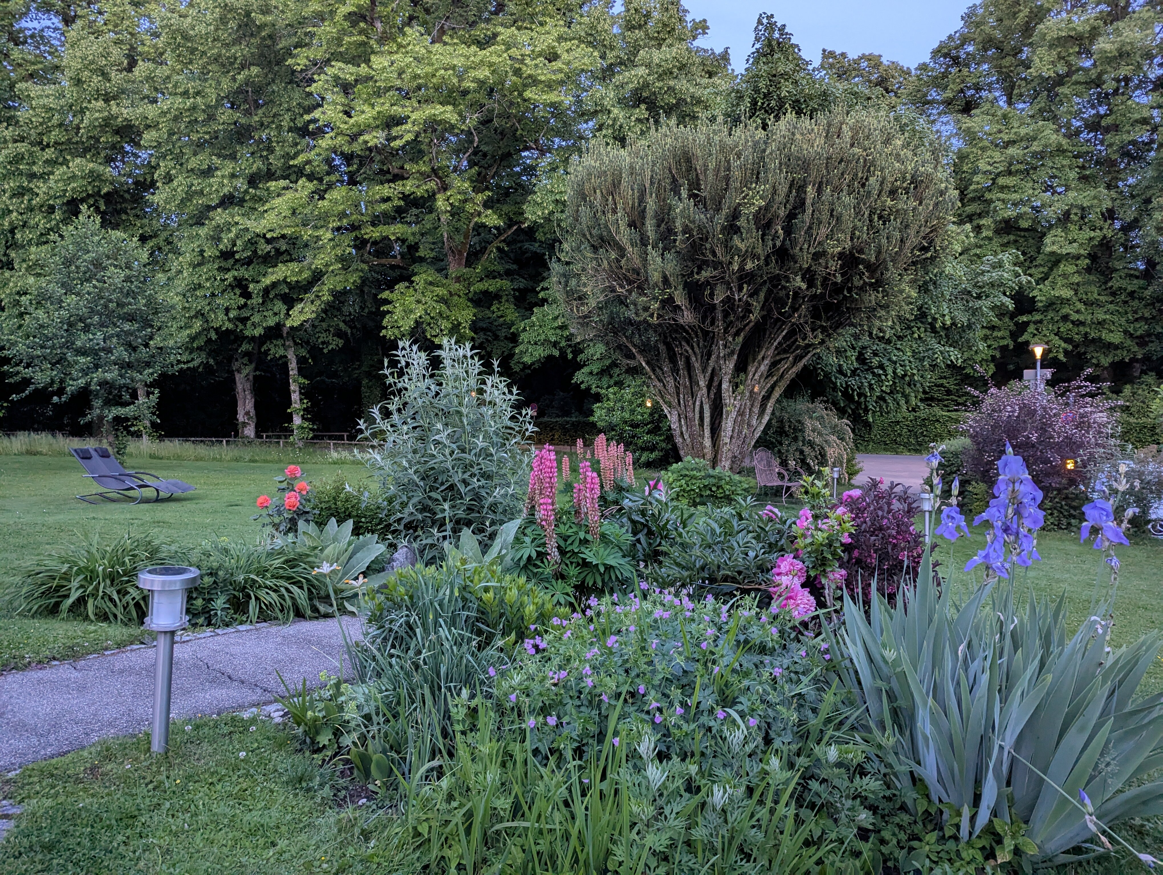 Hotel Lindenallee-官方