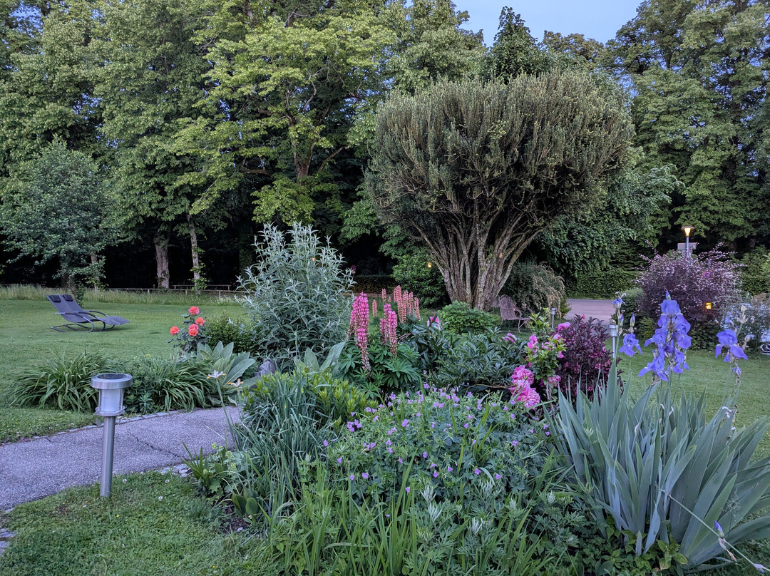 Hotel Lindenallee主图