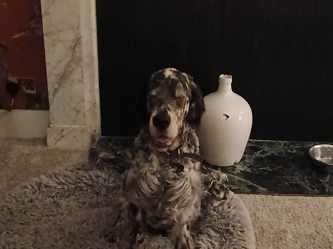 The Burgoyne Hotel主图