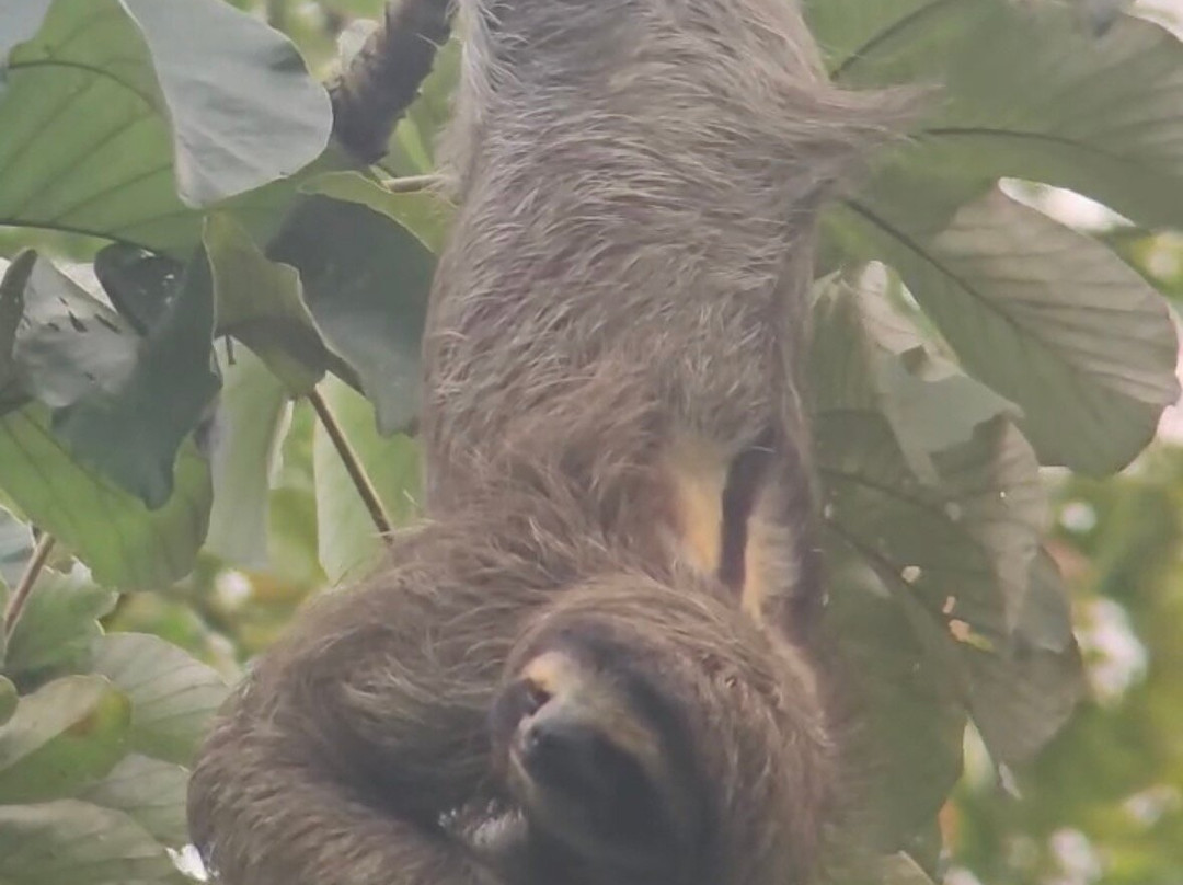 Panama Road Trips-巴拿马城必去景点