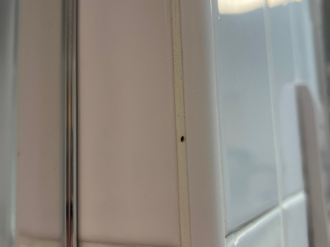 假日曼切斯特西区酒店主图