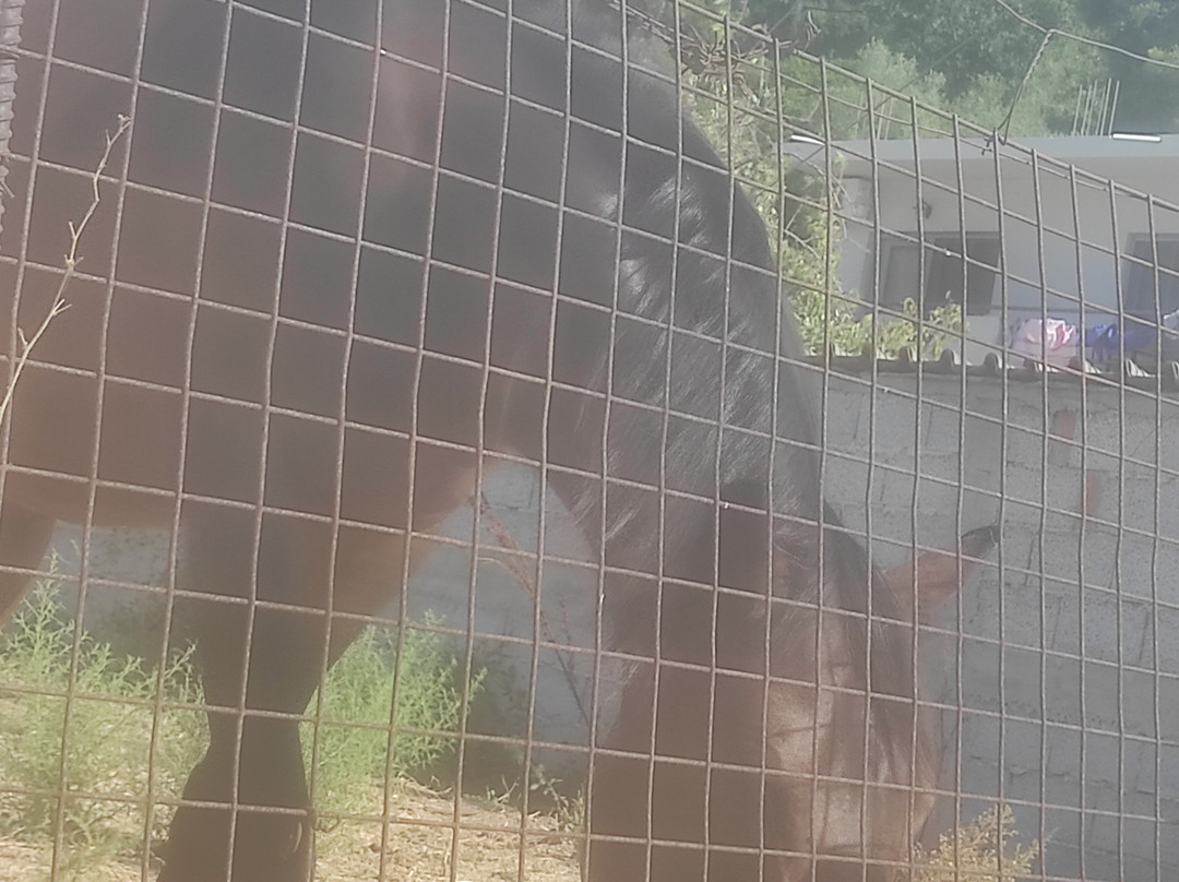 Studio Jimmy's主图