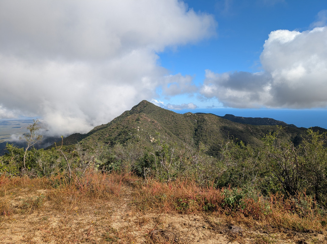 Captain Baja-Los Barriles必去景点