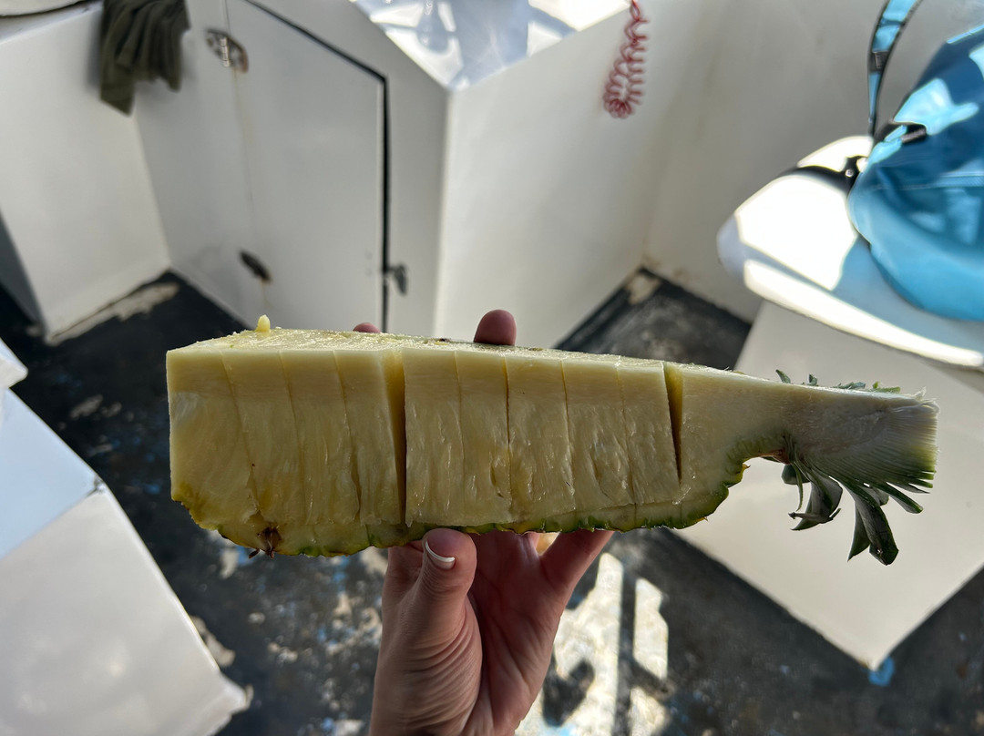 Life Time Travel-萨迪纳尔必去景点