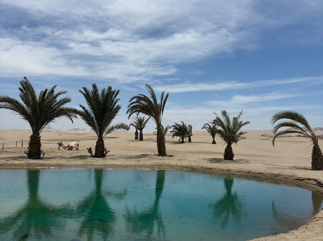 Dromedarius-伊卡必去景点